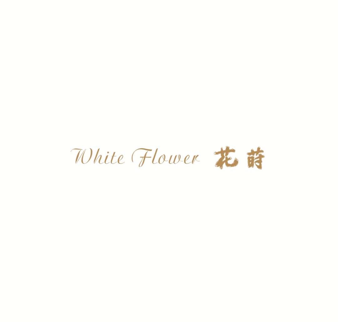 whiteflower闂ㄥ簵,whiteflower
