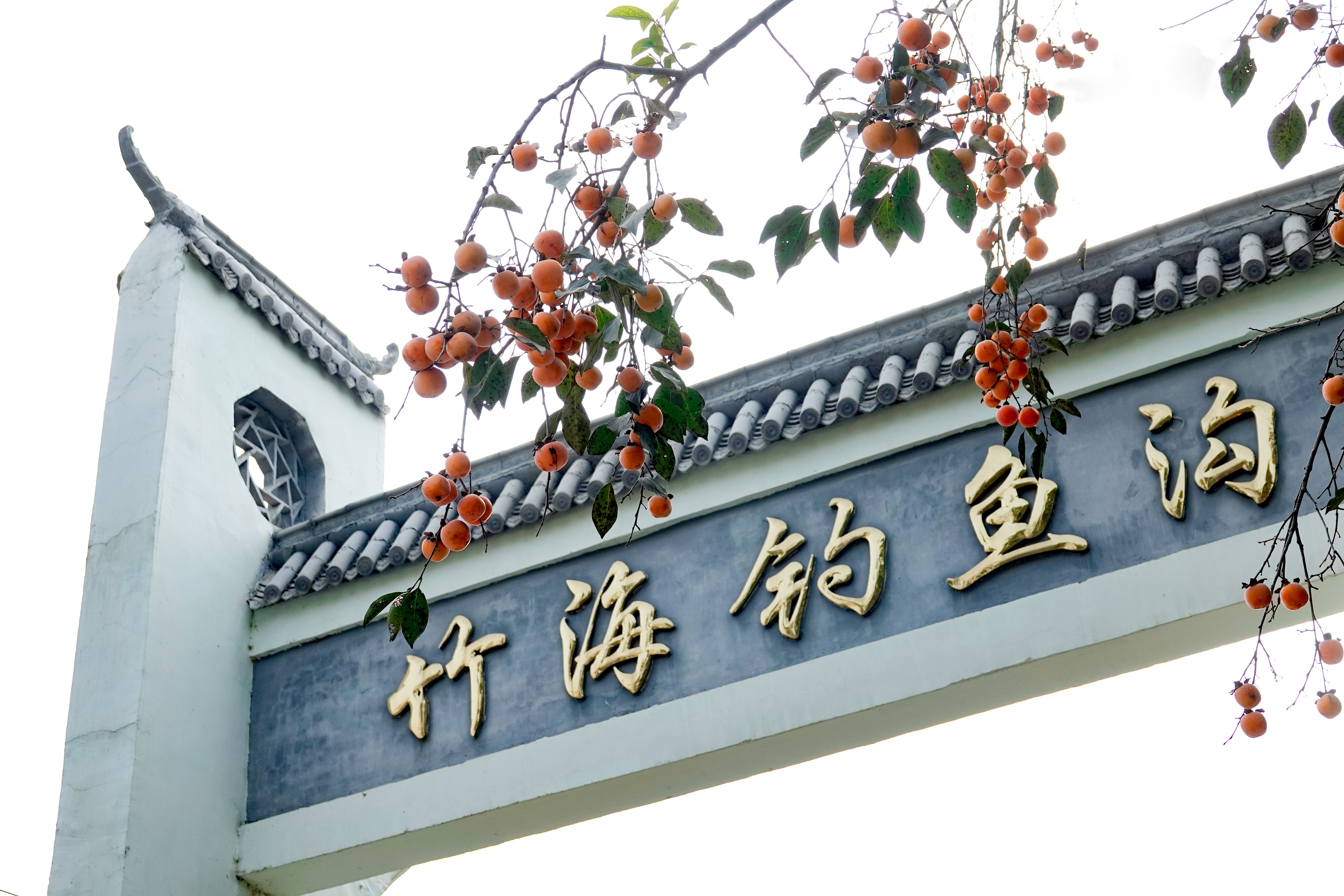 国庆假期如约至樱桃沟景区你到底盘不盘？