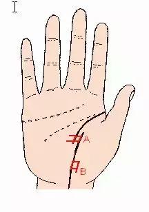 手相解密,手相掌纹分析学