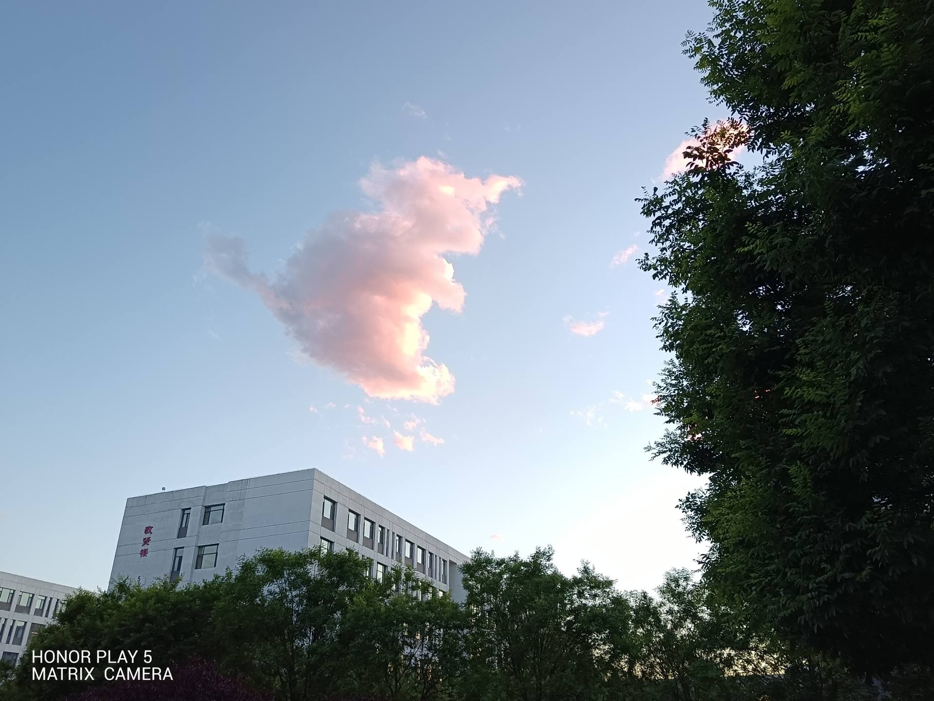 荣耀play5多长,荣耀play5能用多久