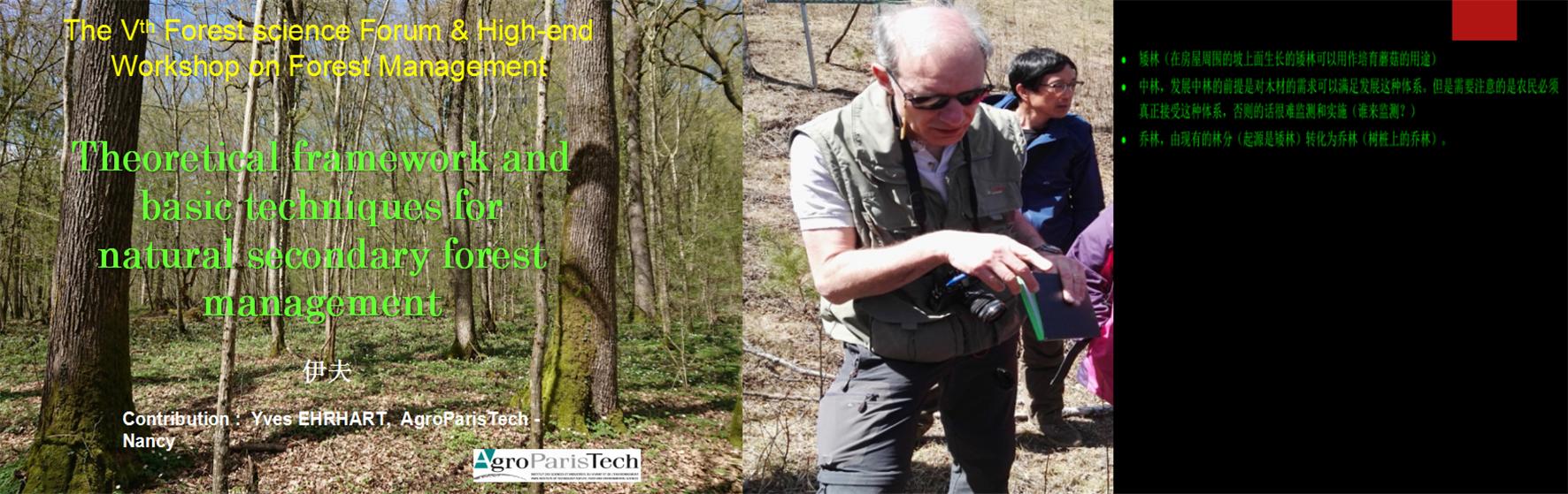 树种起源,次生林起源的特点