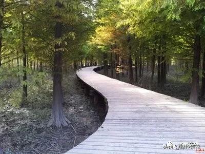 《邂逅》（一）刘学友原创