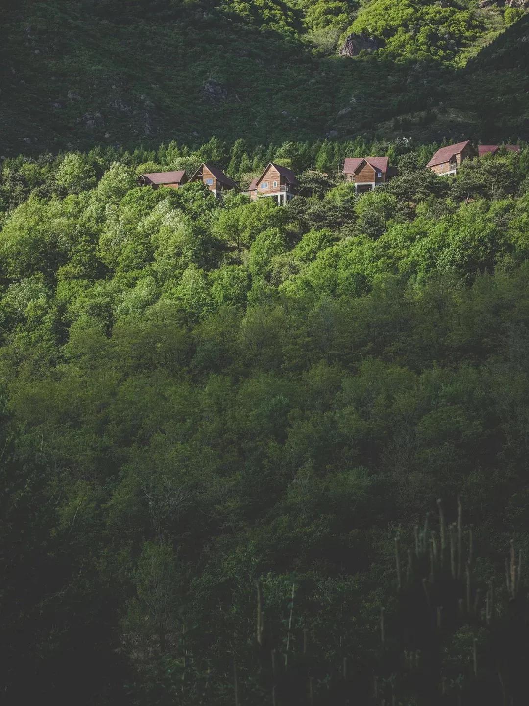 天津周边古镇一日游最佳路线,天津附近古镇免费游一日游攻略