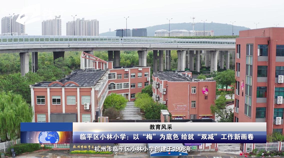 临平小林中心小学,杭州市临平区小林小学怎么样