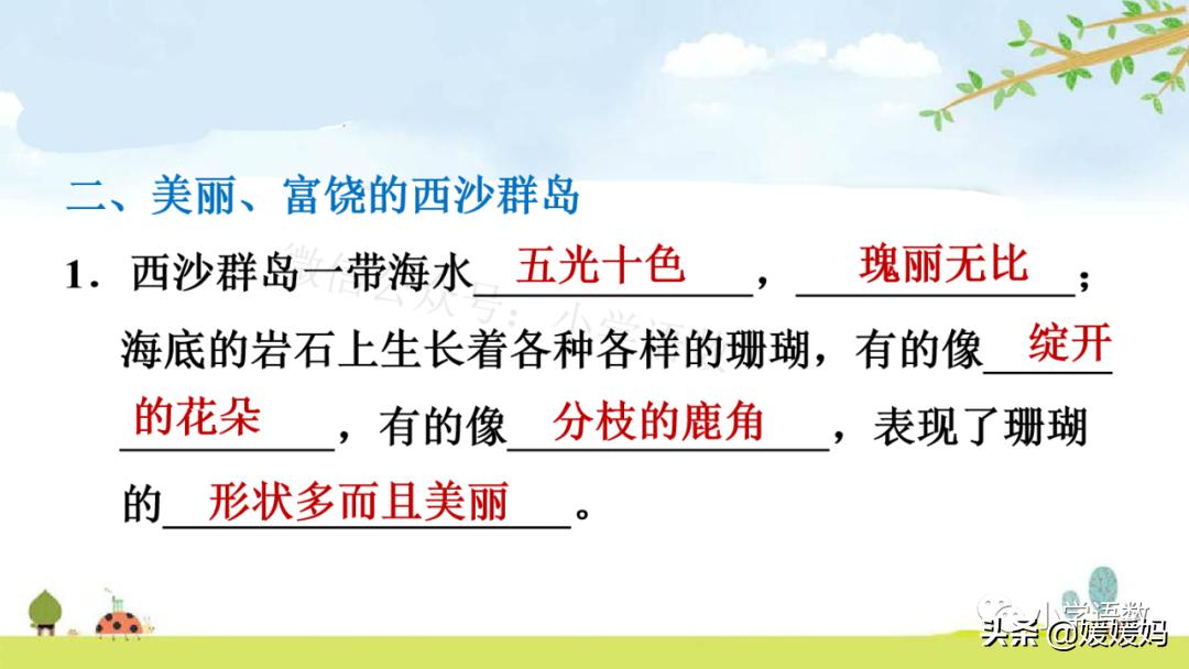 三年级第18课富饶的西沙群岛视频,三年级上册18富饶的西沙群岛笔记