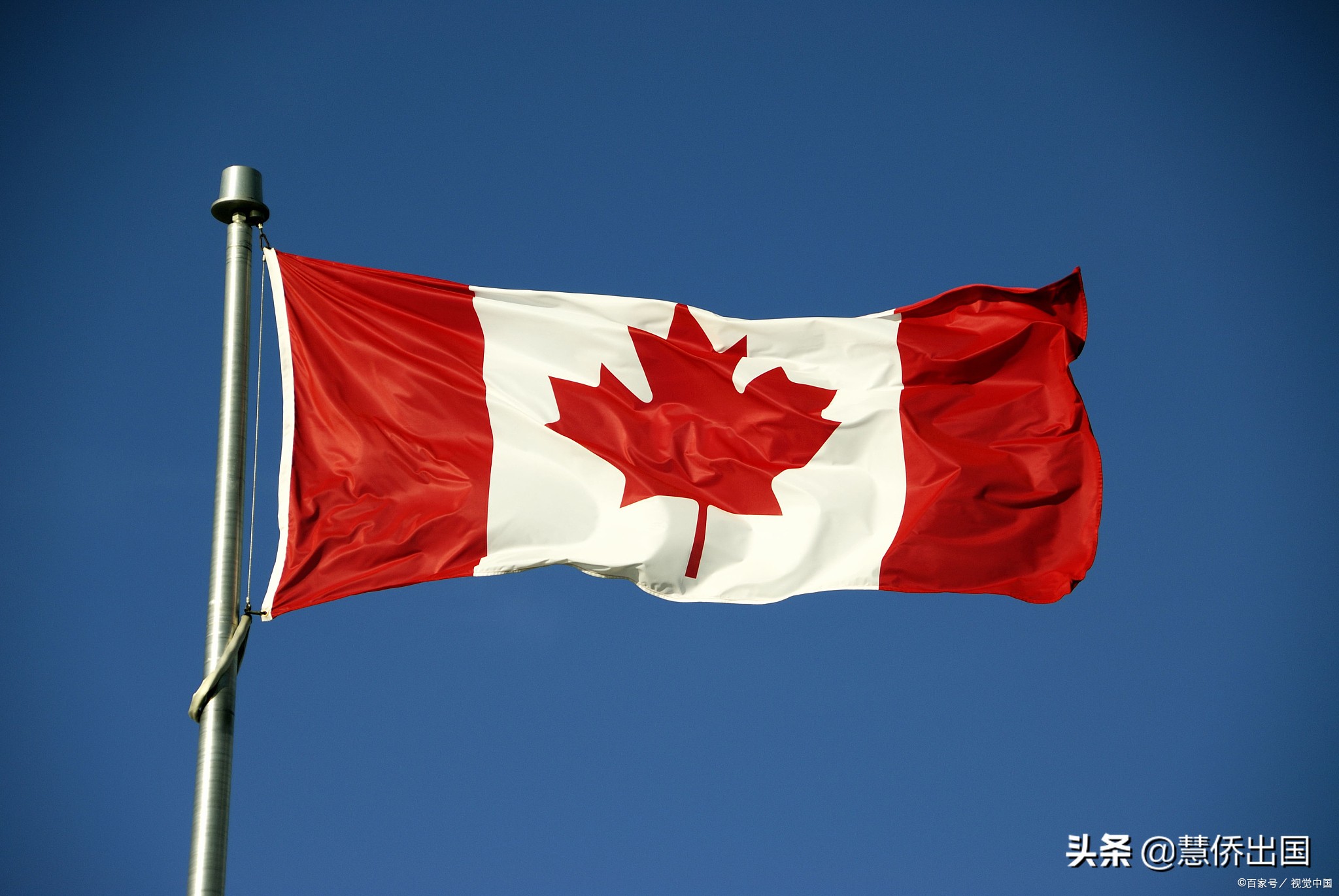 唯一在加拿大移民条件中无硬性雅思要求的雇主项目