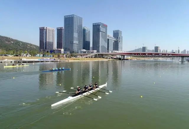奋进粤港澳大湾区,奋进新征程筑梦大湾区