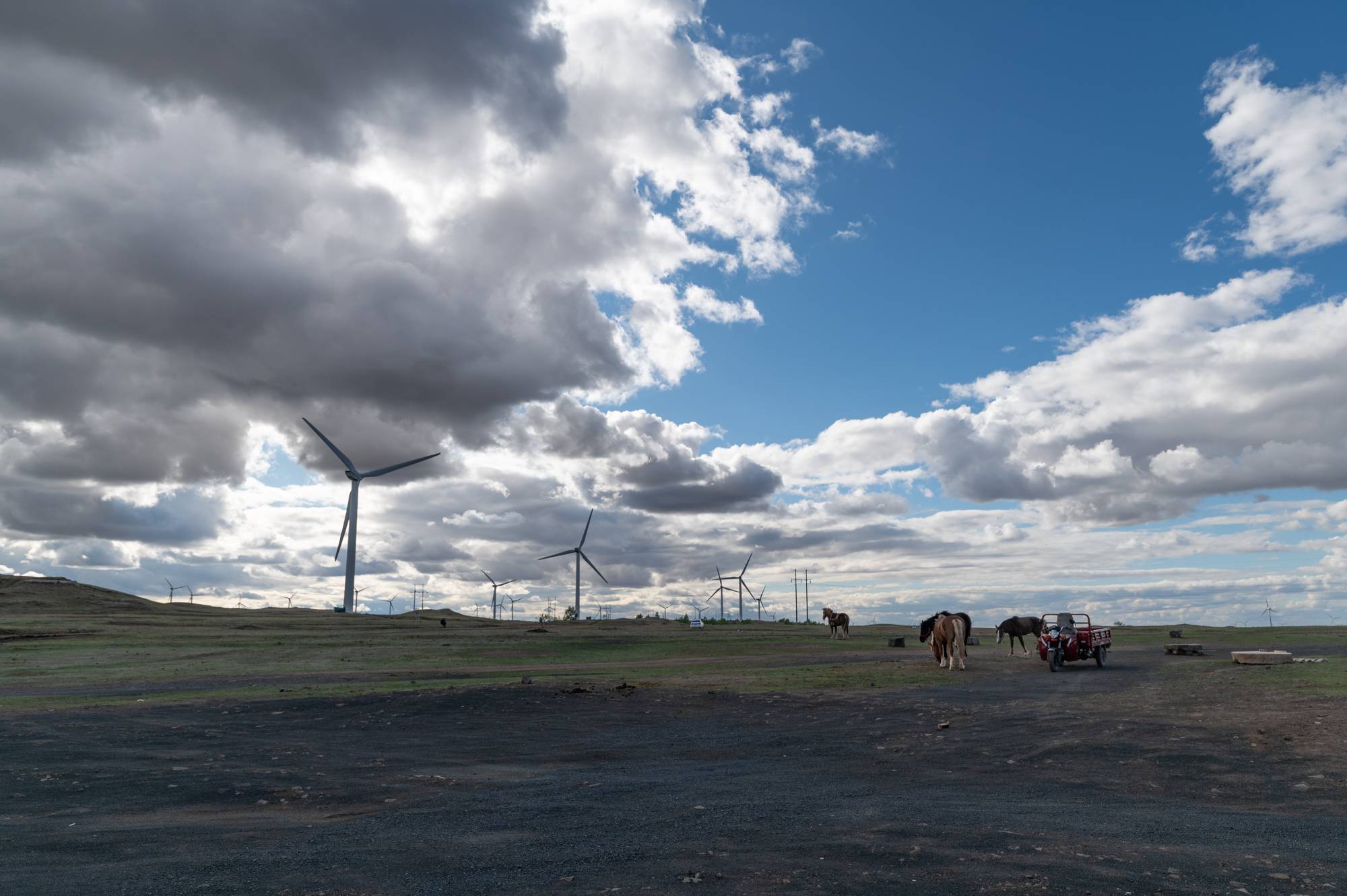 尼康d780相机操作的视频,尼康d780怎样拍延时视频