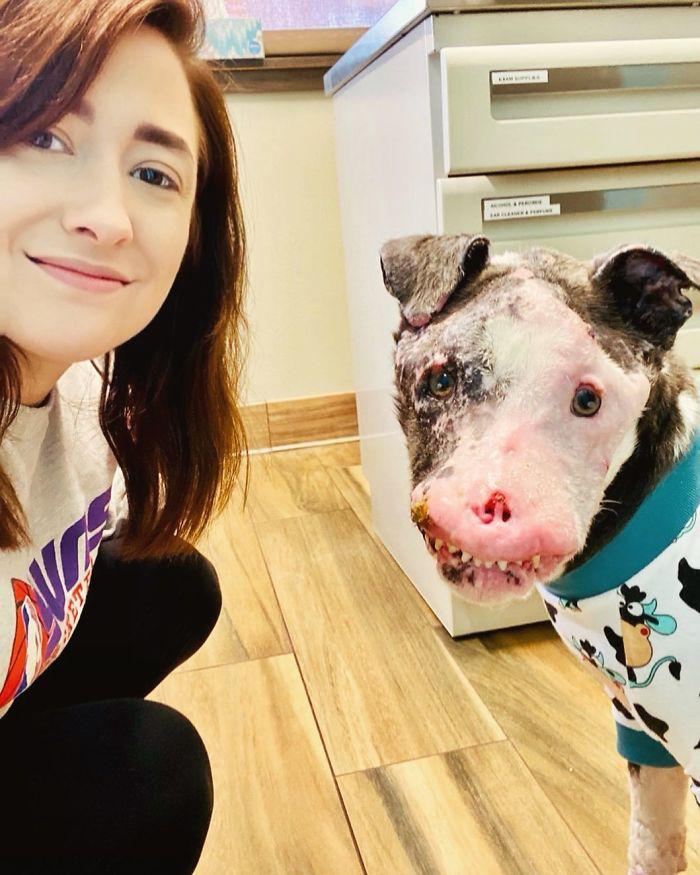 狗丑遭人嫌？虽饱受病痛折磨，但上天格外垂怜！网友：一样是宝贝