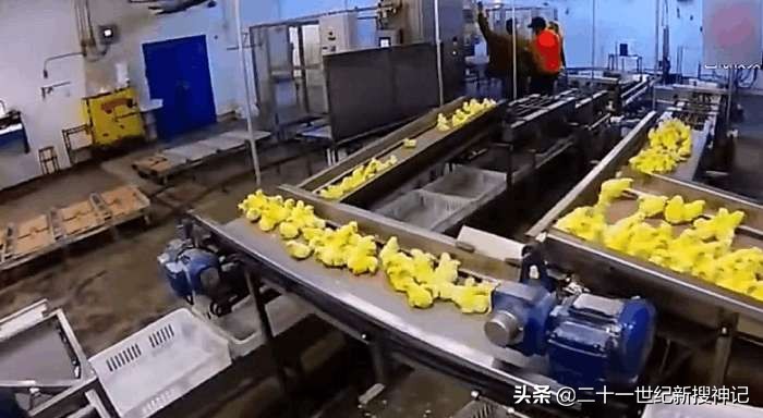 性命之谜（十八）人造美食：高科技食品的发展史及我们的未来