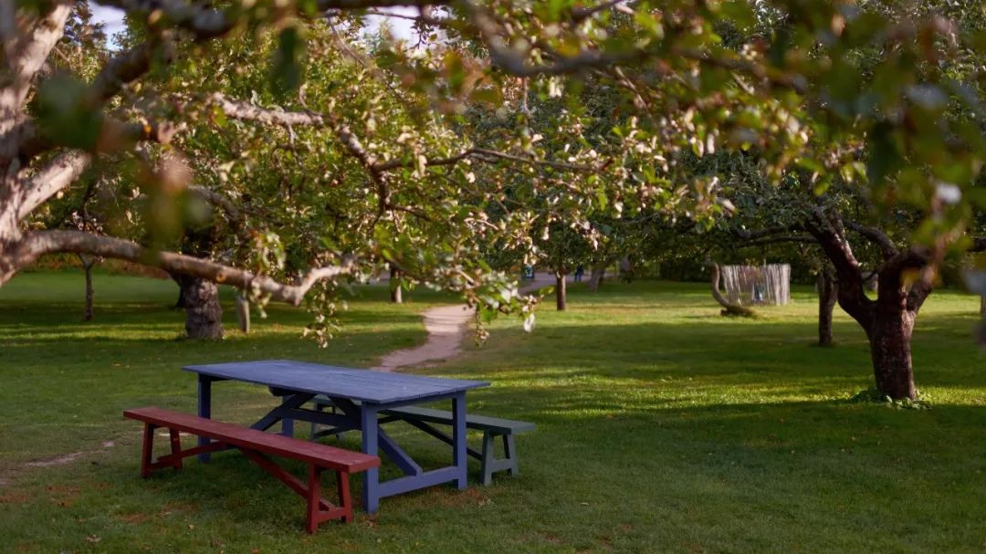 北欧极简性冷淡别墅装修效果图,北欧风最好的装修治愈系