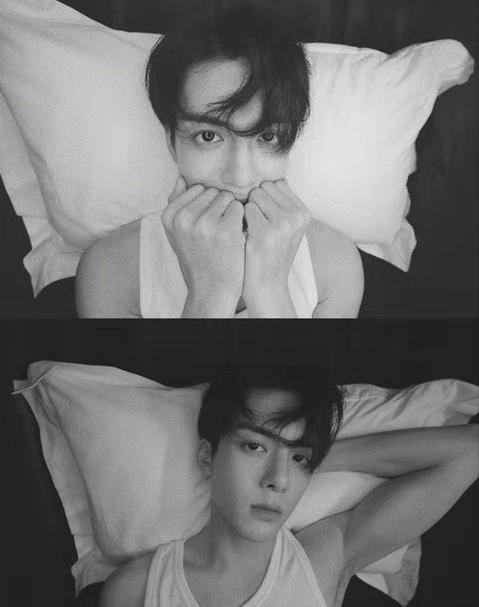 2019张无忌曾舜晞版全集,曾舜晞版张无忌缺少爱意