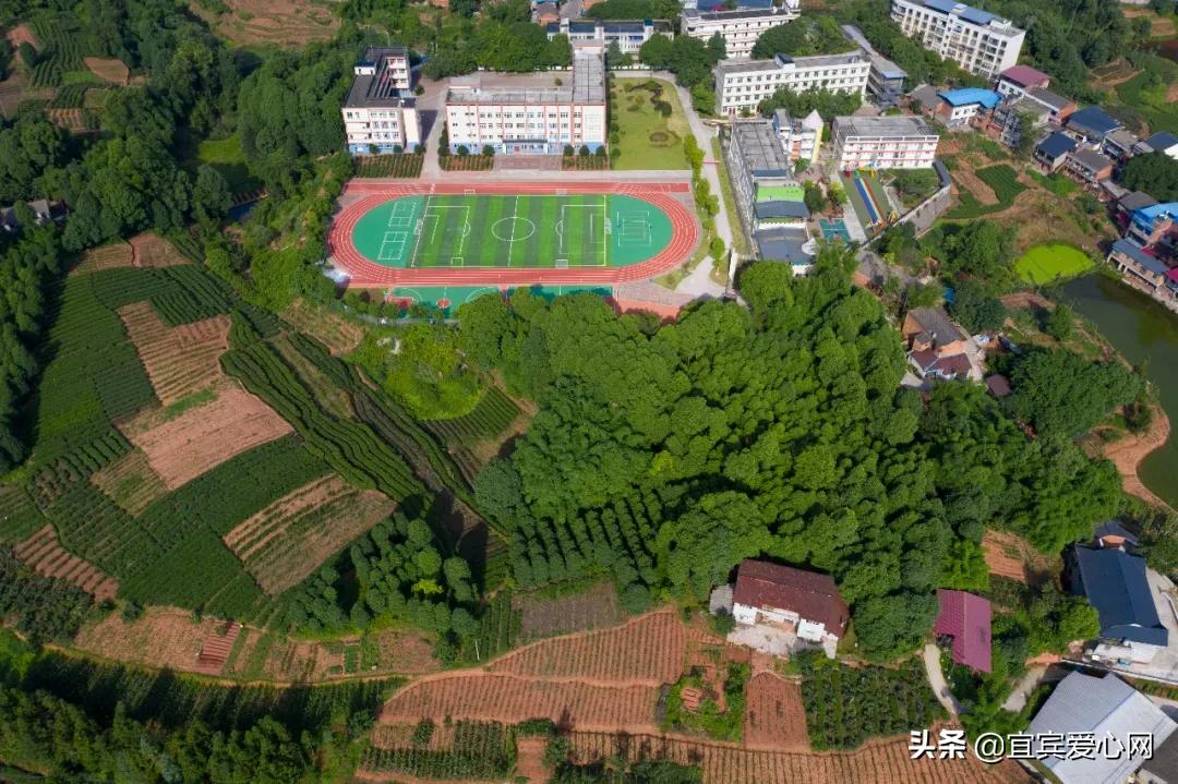 航拍青山绿水震撼风景竖屏视频,震撼校园秋景航拍