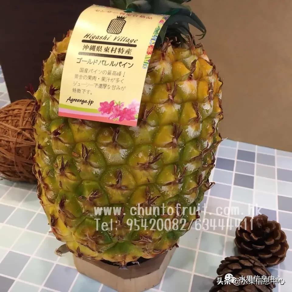 日本进口的菠萝,日本菠萝