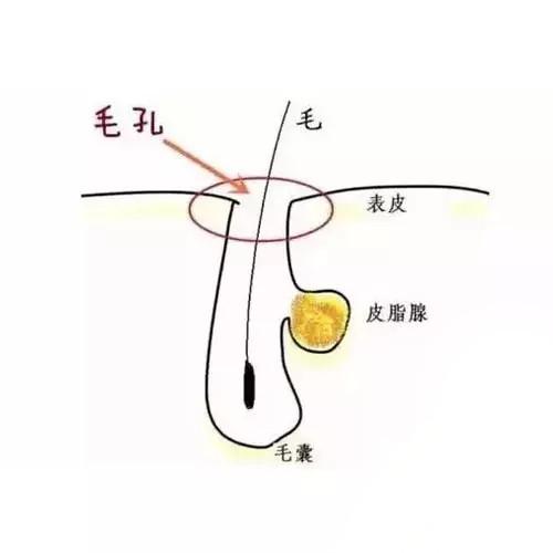 皮肤不吸收水是什么原因,皮肤搓泥不吸收护肤品怎么办