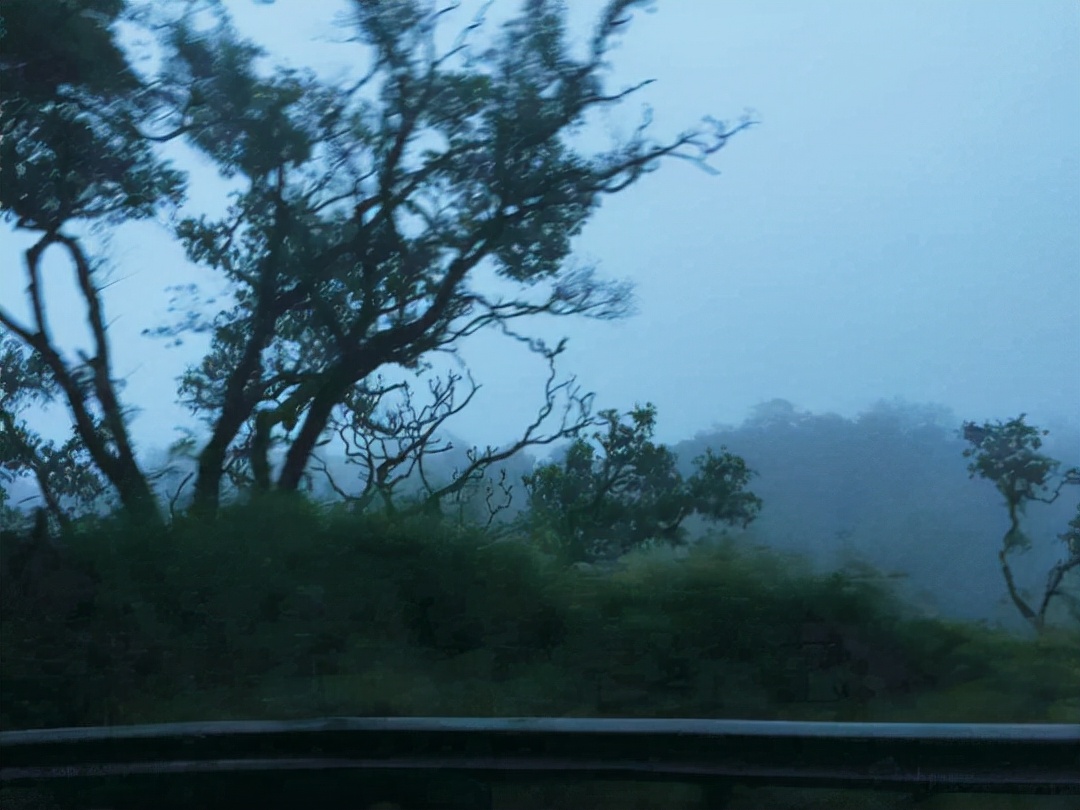 夏威夷的冬天01,夏威夷的冬天的橱窗