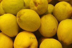 大新疆有啥特产,盘点十大新疆的特产