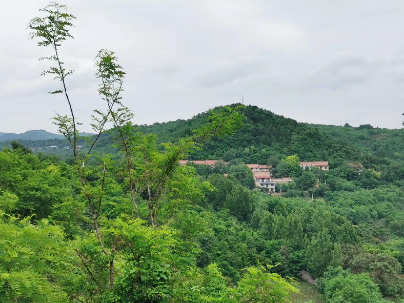 西安洪庆焚书坑儒,洪庆山焚书坑儒