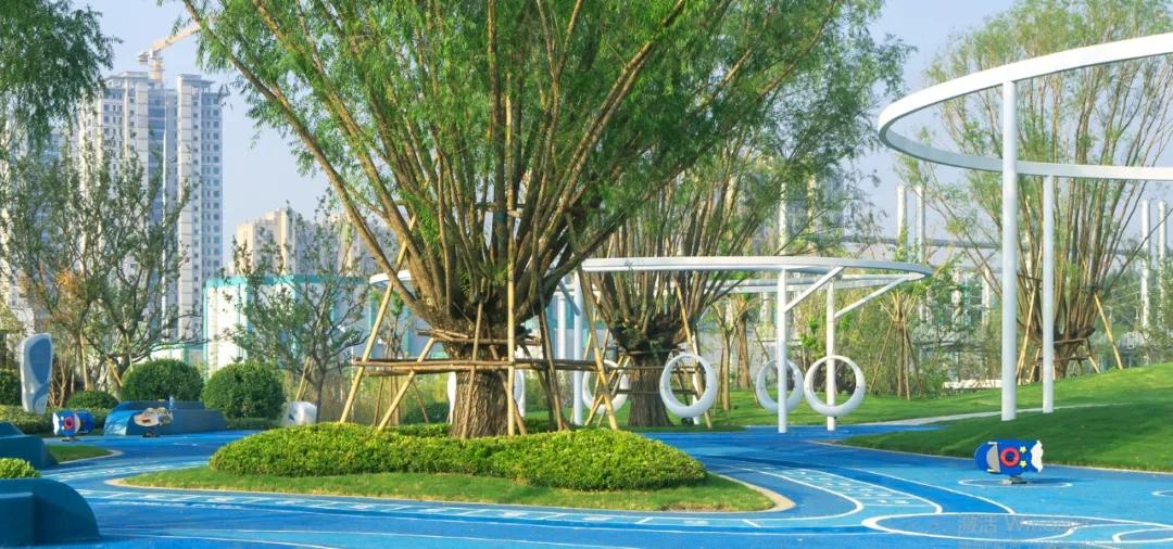 新区新建公园规划,主城区公园