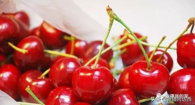 疆优质特产,盘点十大新疆的特产