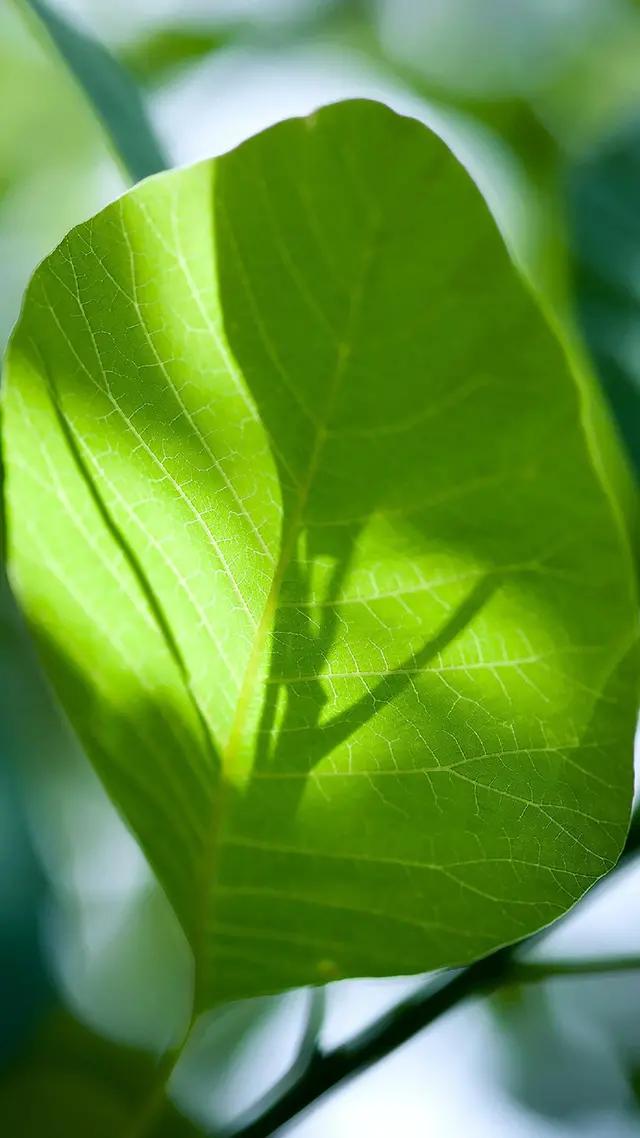 白岩松经典语录昨天比今天好 (白岩松经典语录最难的事终会过去)