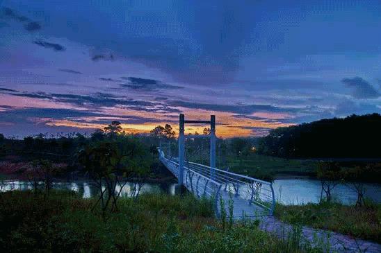 深圳遛娃必去景点免费过年,深圳适合儿童游玩的公园