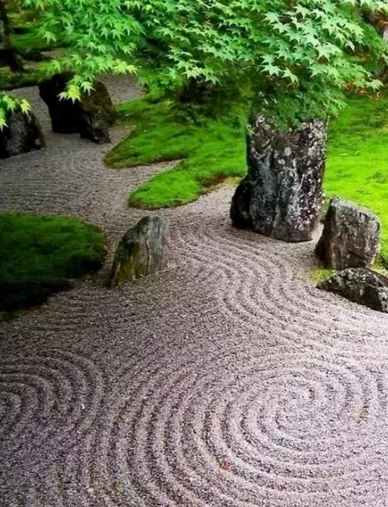 英山云雾茶手工茶,英山云雾茶哪个品牌好