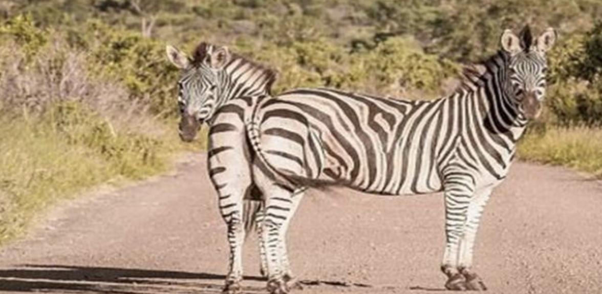 一些很普通的图片,那些看似普通却很惊艳的照片