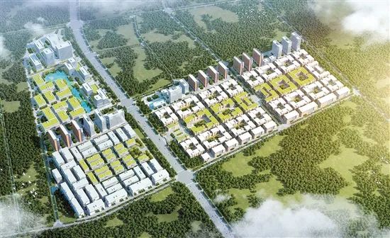 投资165亿重大项目落户,投资907亿元重大项目陆续开工