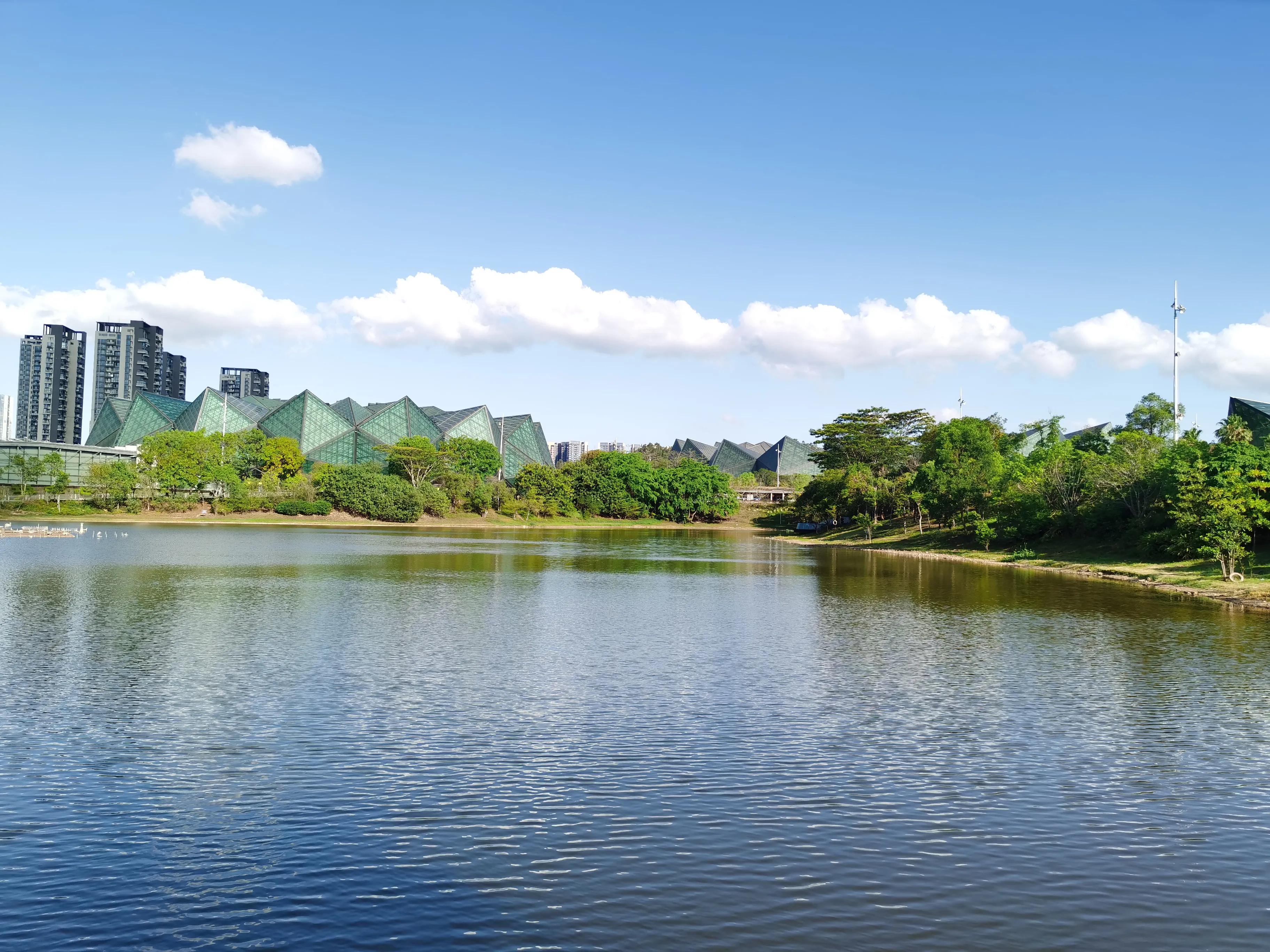 深圳大运中心在哪里,大运中心附近游玩攻略