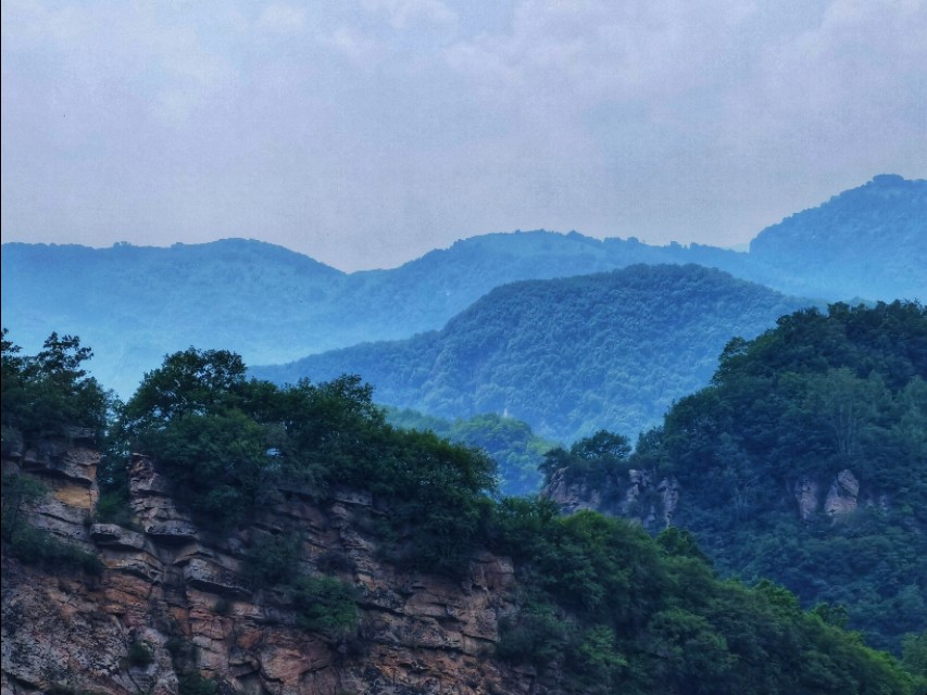 驼梁七月草原美，金莲妖娆入画里/郝贵云