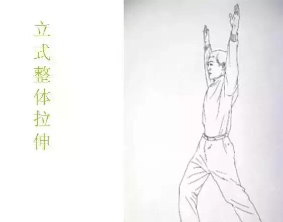 阿强拍打拉筋全身经络视频教程,拉筋基本动作入门