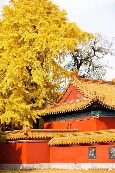 亚洲宜居城市排名2019,中国唯一一个国际评选的宜居城市