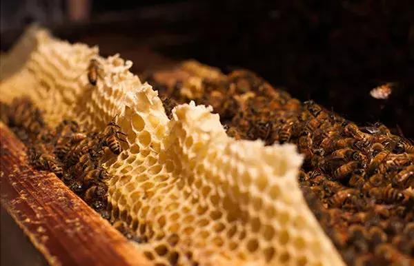 舌尖上的蜂蜜吃法,蜂蜜块嚼着吃推荐