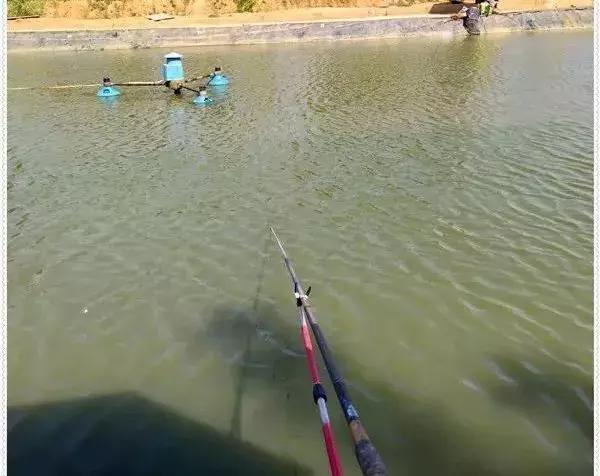 案例分析：窝子冒泡，漂却不动