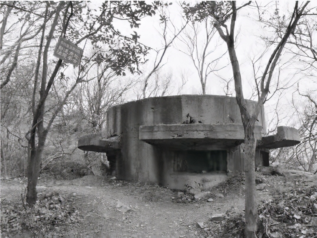 南京紫金山保卫战的前因后果,南京保卫战紫金山战役图片