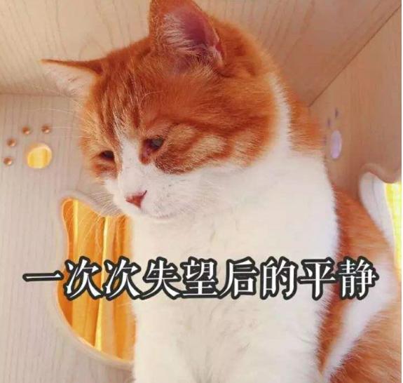 拔草网红产品,网红种草必买的东西是什么品种