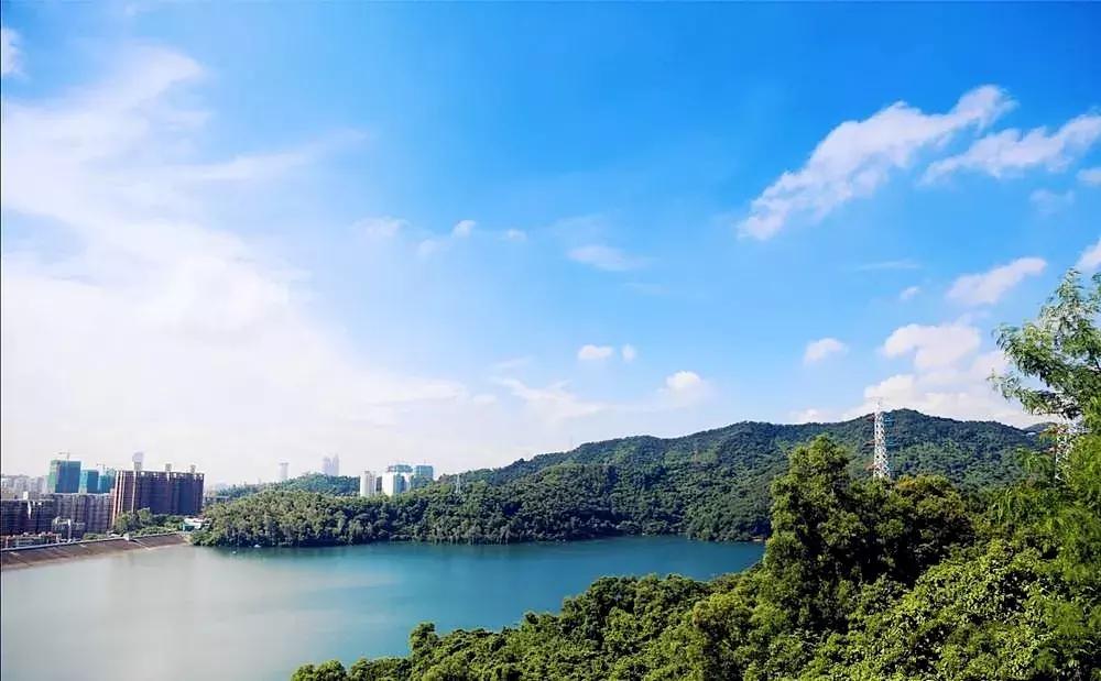 深圳建市四十周年,深圳市建市40周年从什么时候开始