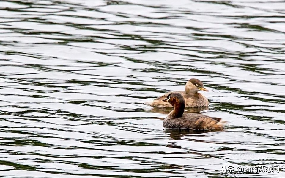 在海南万宁感受海滩风光,海南万宁必吃