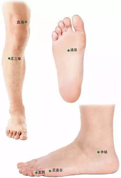 背诊图五脏六腑反射区,足部反射区解析大全