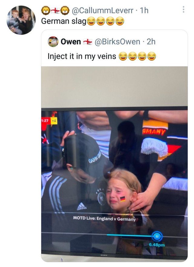 欧洲杯德国小球迷哭泣,德国欧洲杯小球迷哭了