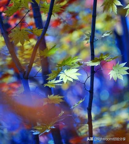 色彩性格解读体会,色彩是怎么表达情感的