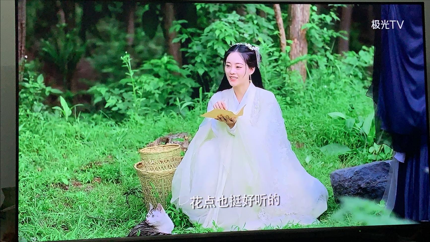 盘点猫咪高能名场面 (猫咪10大最萌镜头)