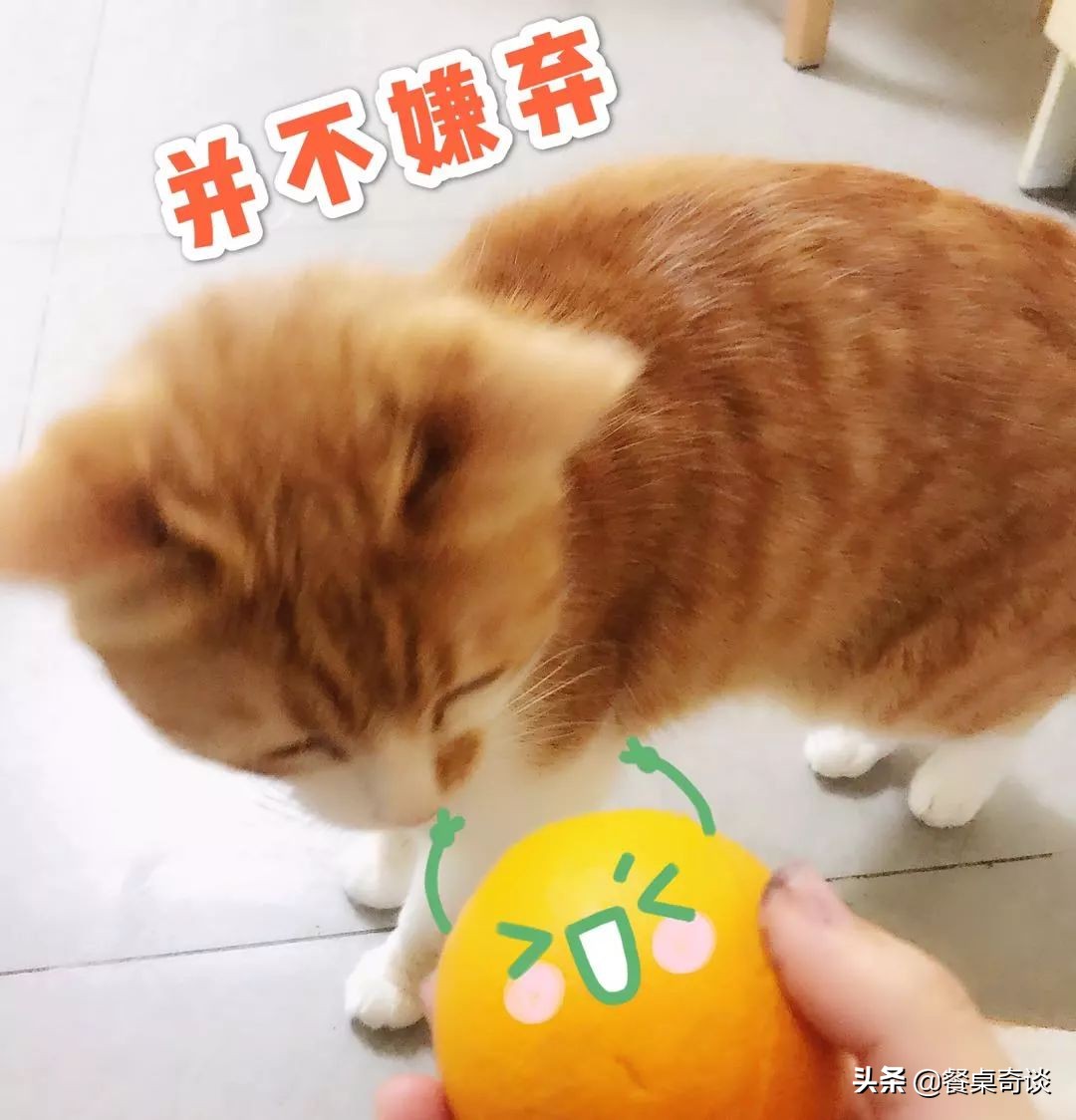 只有在五月能吃到的美食,5月的伦晚脐橙