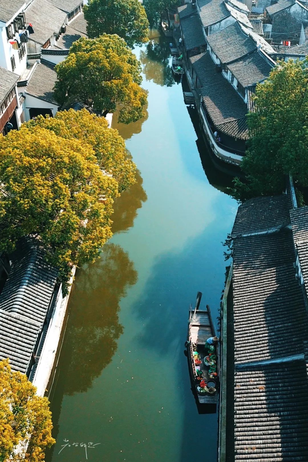 别再去西塘周庄挤了！苏州最有人间烟火气的古镇，假期依旧安静