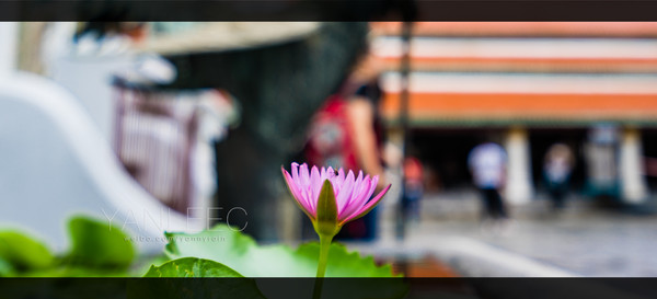 泰国旅游漫游,最新鲜玩转泰国攻略