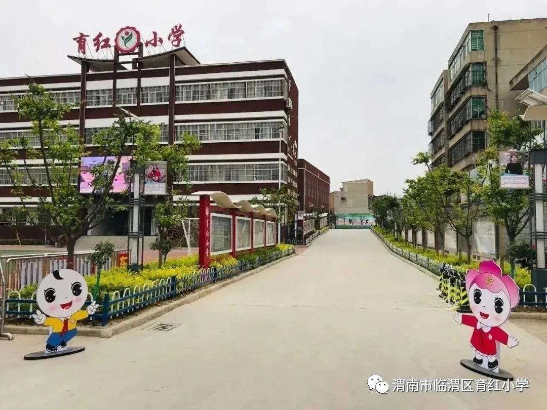 育红小学,育红小学扬帆起航
