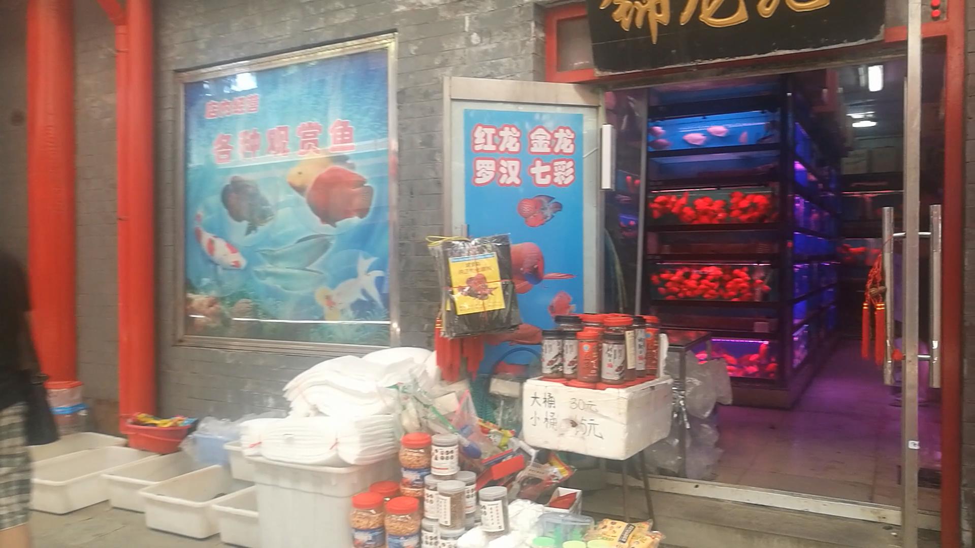 北京十里河鱼市，都说它拆了，我却看到了综合性的水族市场