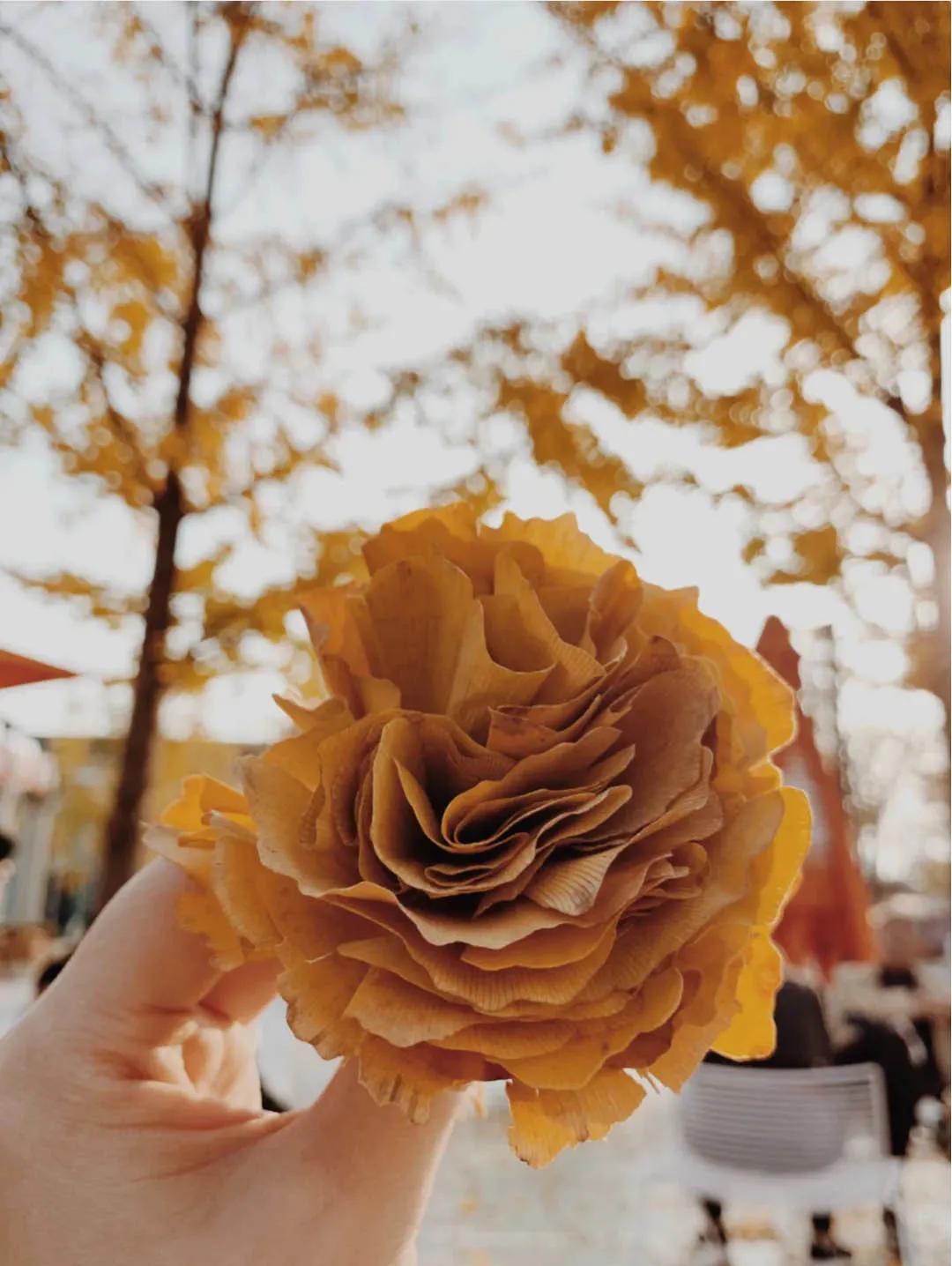 银杏叶咋做玫瑰花,银杏叶怎么做玫瑰花