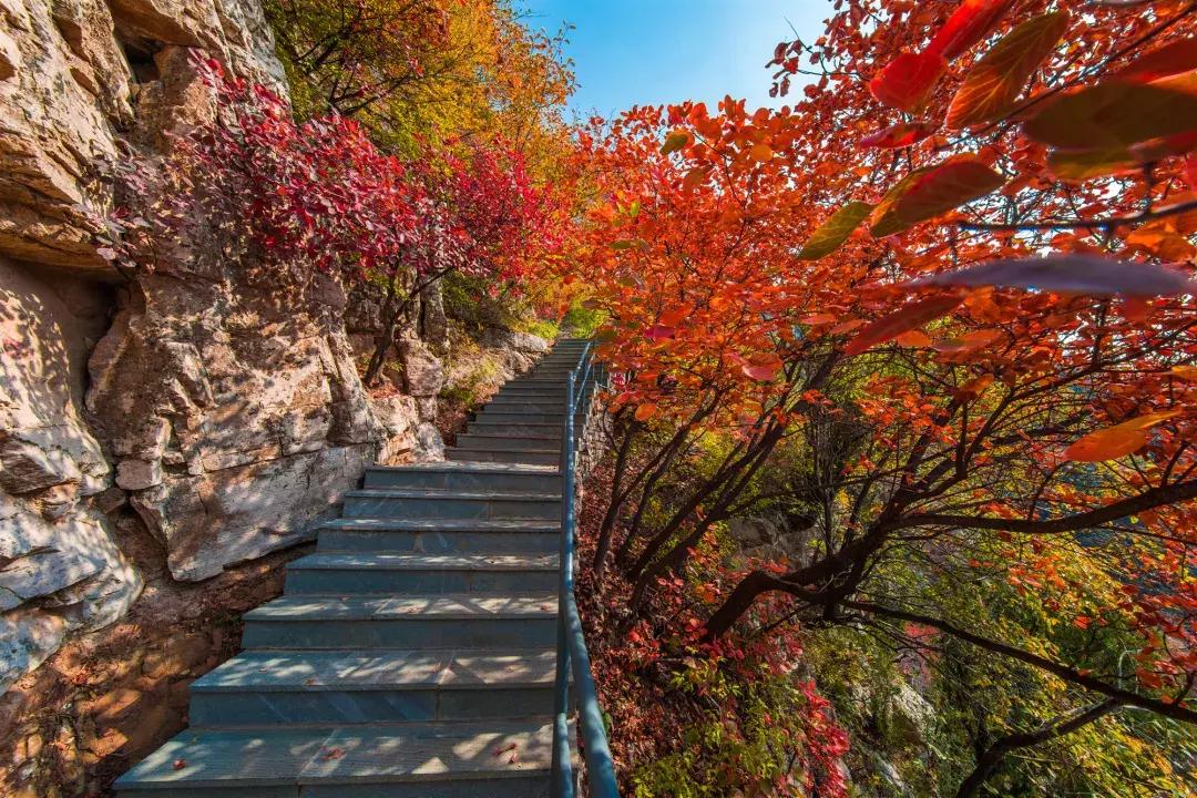 免费！半价！坐山东高铁环形列车，这些景区凭车票统统享优惠！